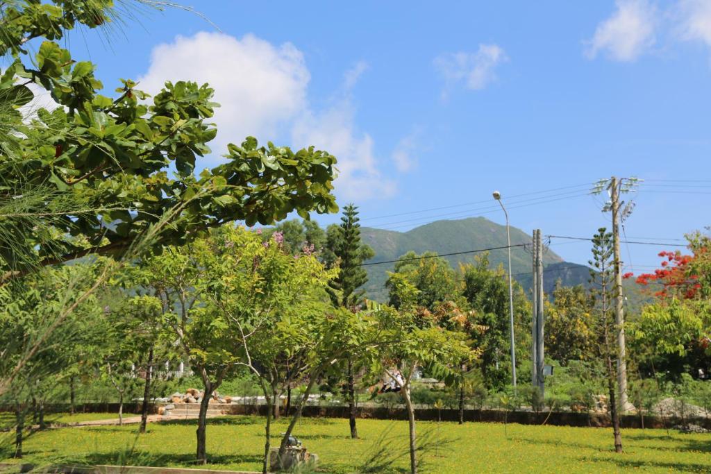 Con Dao Camping Hotel Phòng bức ảnh